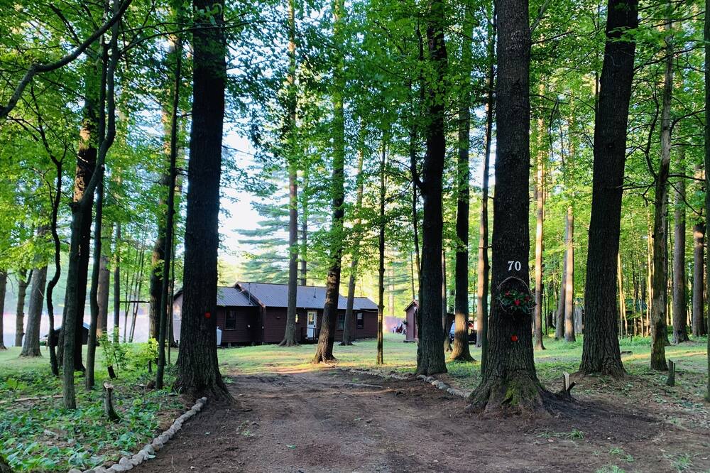 Photo of Outdoor in Woodgate