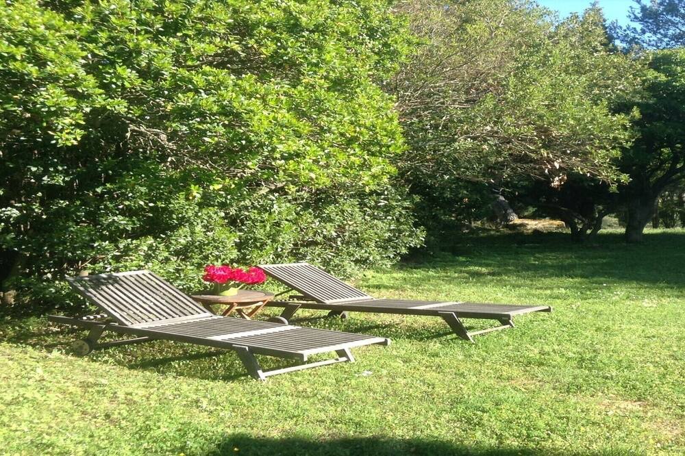 Photo of Outdoor in Montlaur