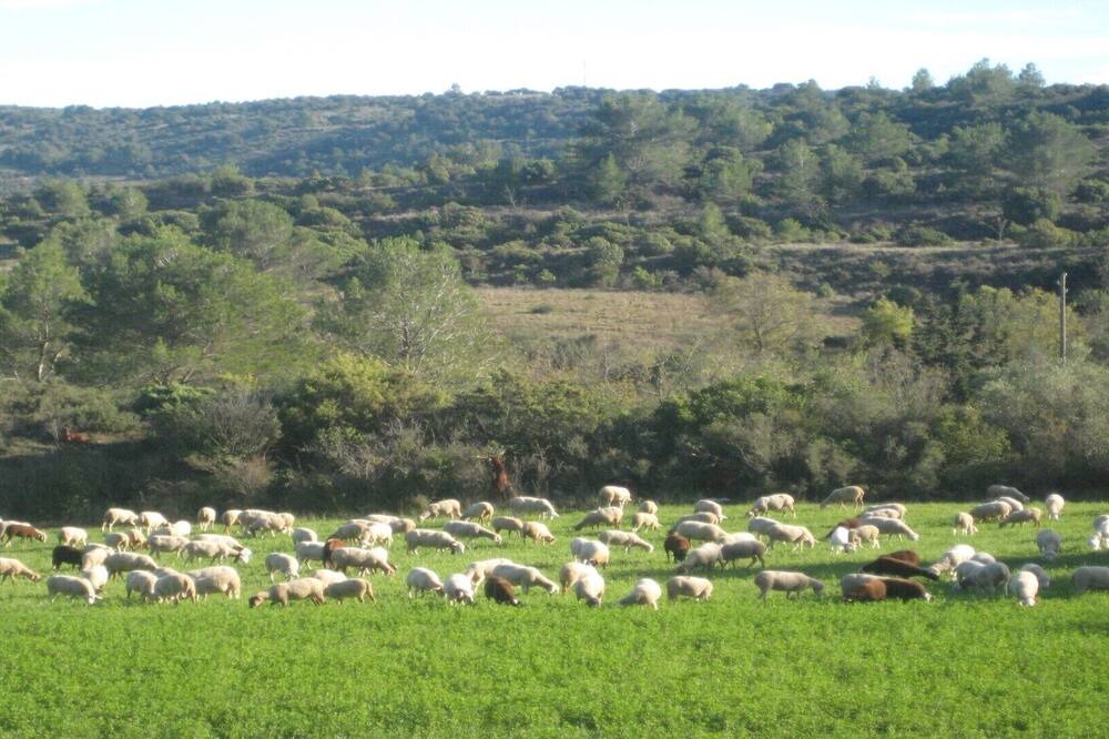 Photo of Outdoor in Montlaur