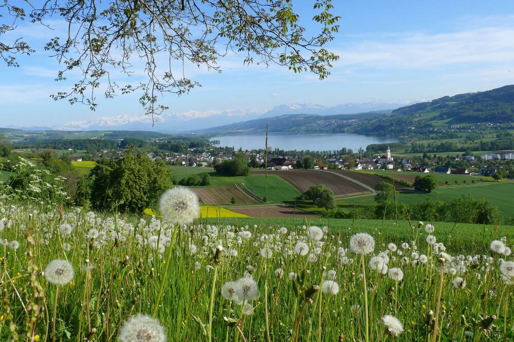 Photo of Outdoor in Seengen