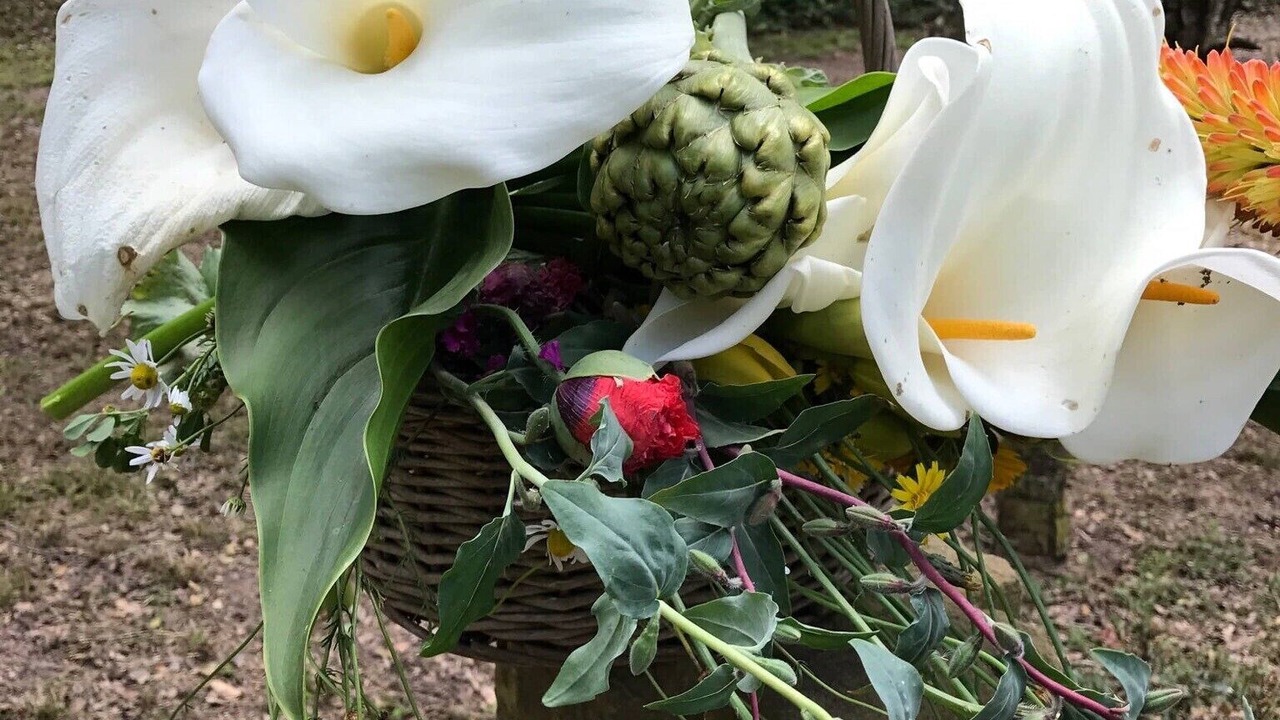 Photo of Others in Prunedale