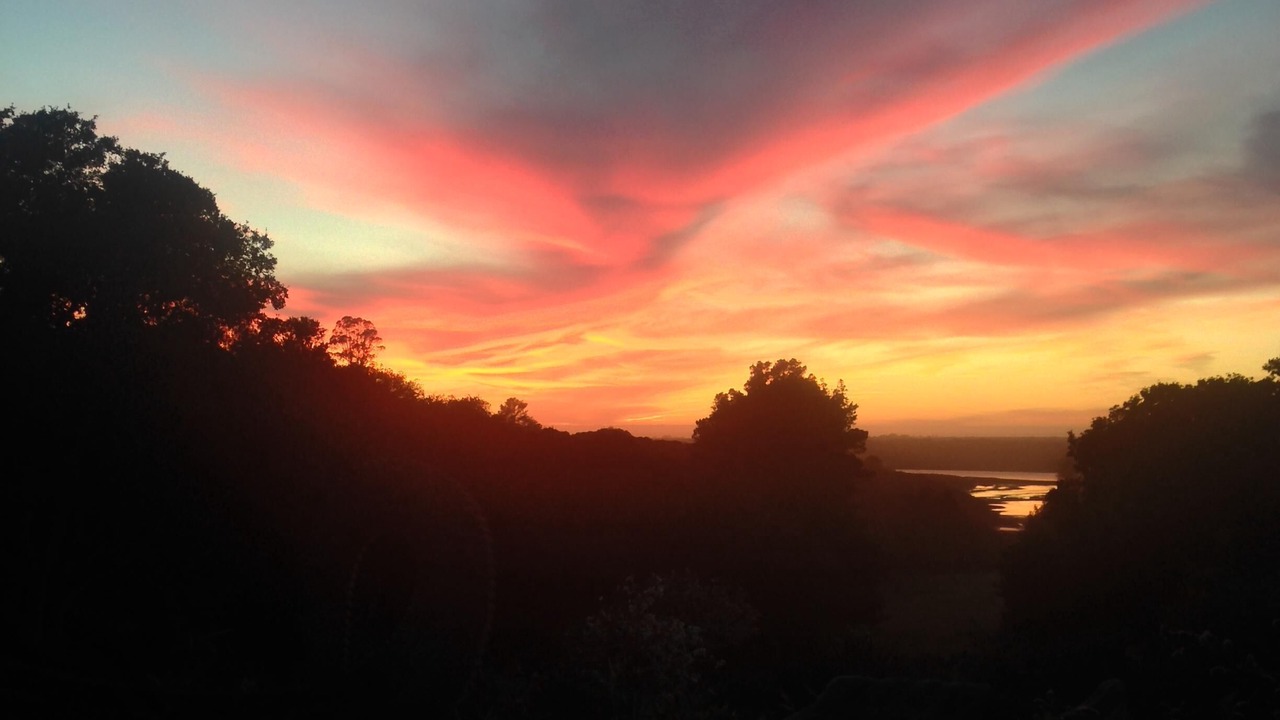 Photo of Outdoor in Prunedale