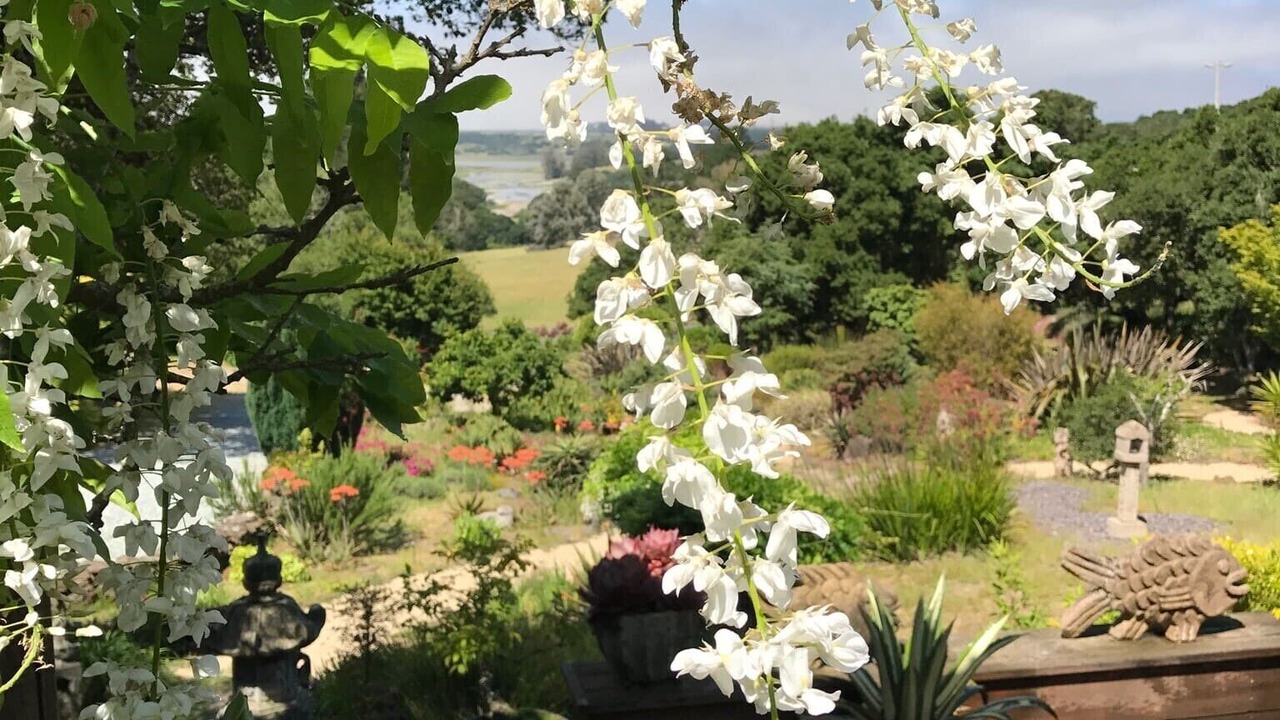 Photo of Outdoor in Prunedale