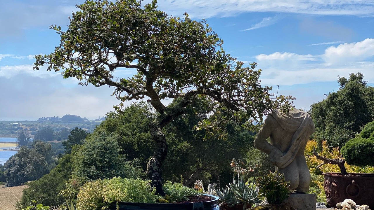 Photo of Outdoor in Prunedale