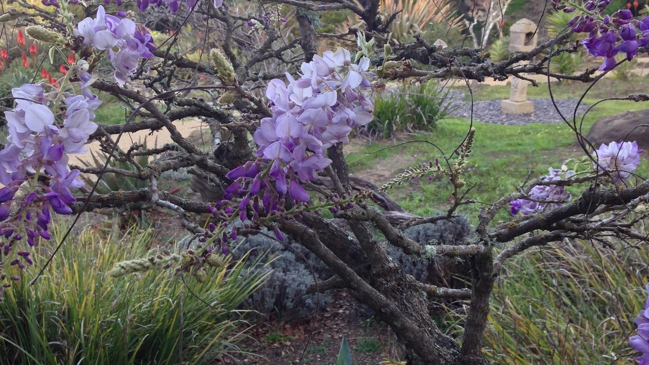 Photo of Outdoor in Prunedale