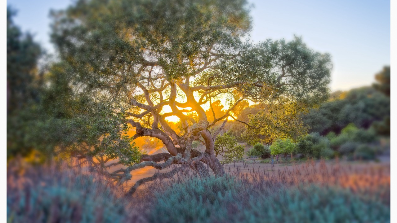 Photo of Outdoor in Prunedale