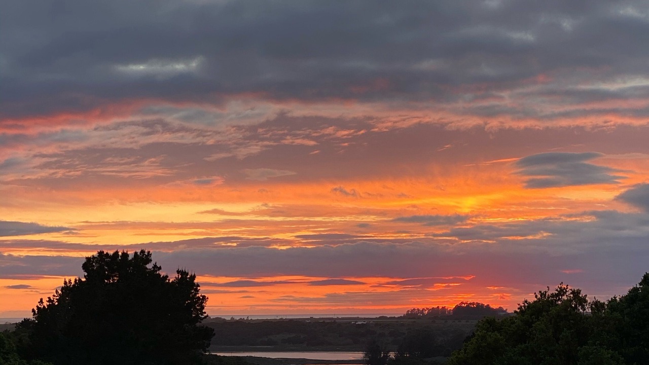 Photo of Others in Prunedale