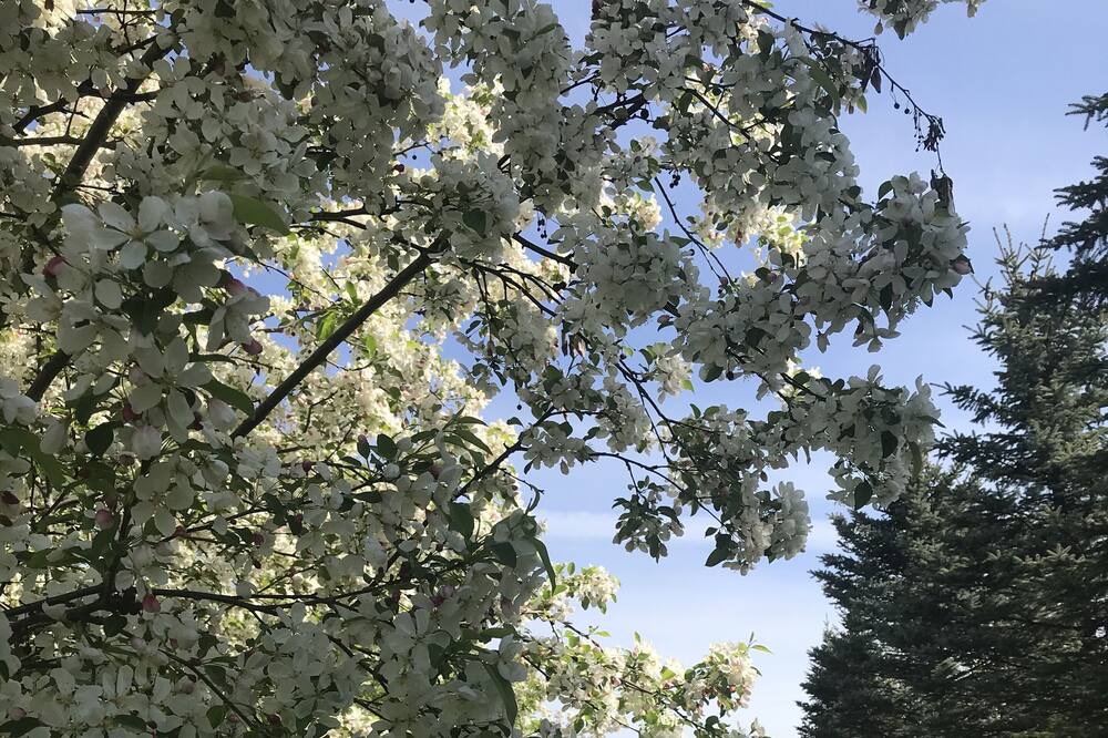 Photo of Outdoor in Williston North