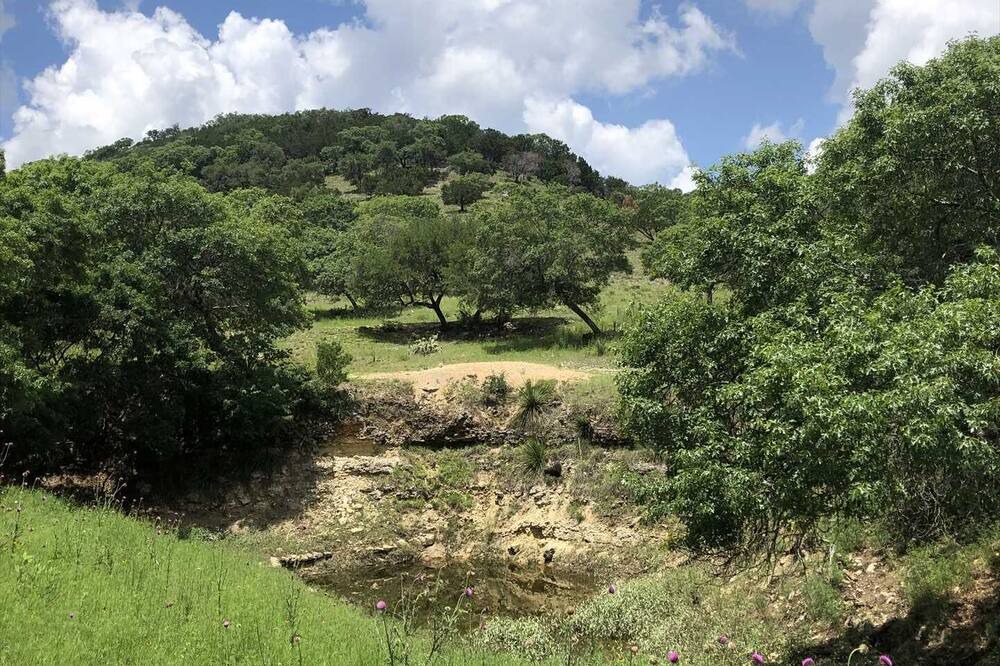 Photo of Outdoor in Tarpley