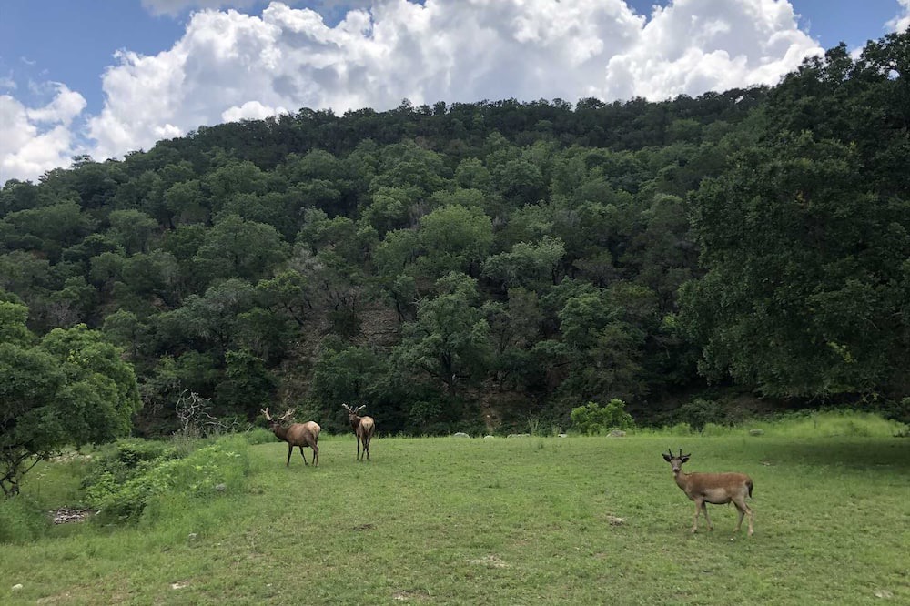 Photo of Outdoor in Tarpley