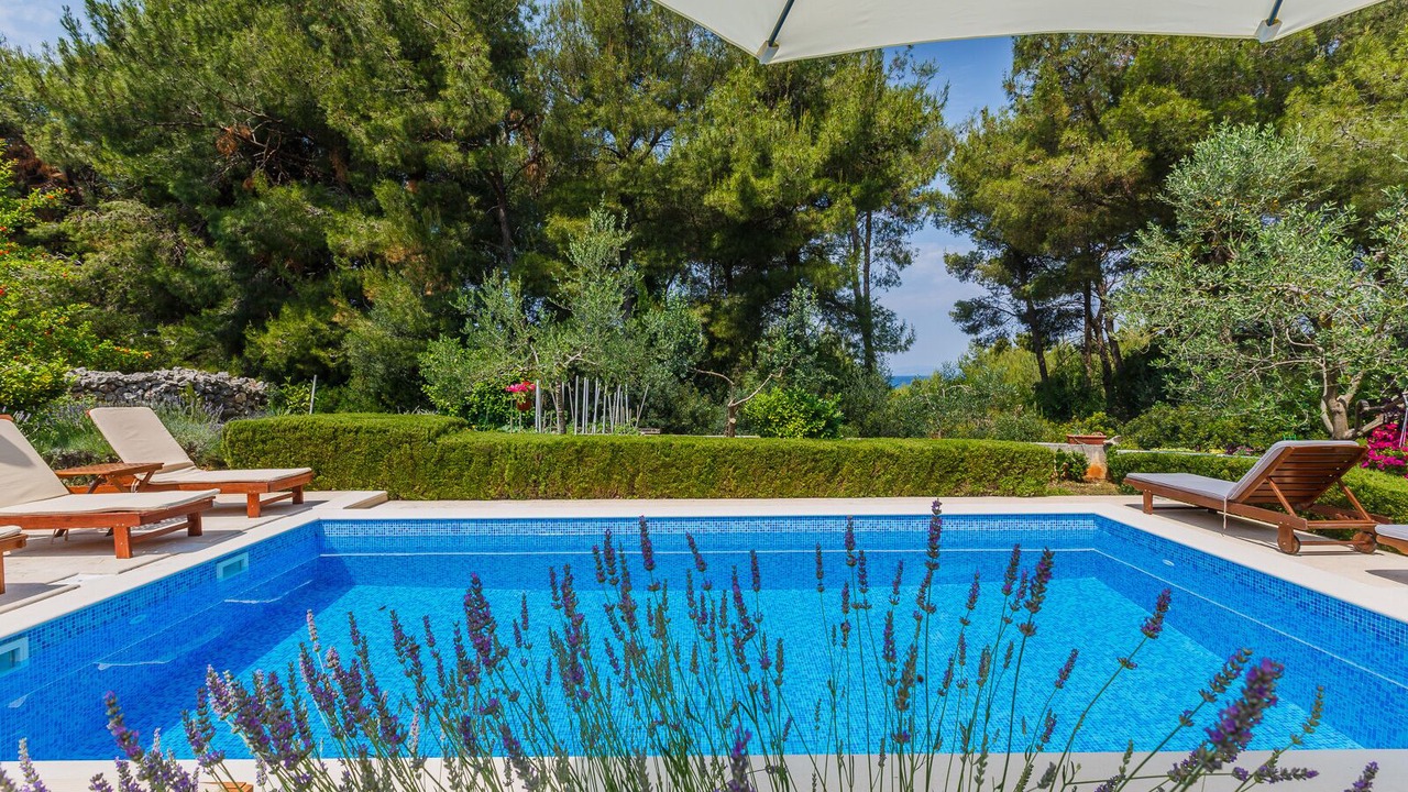 Photo of Outdoor in Mirce