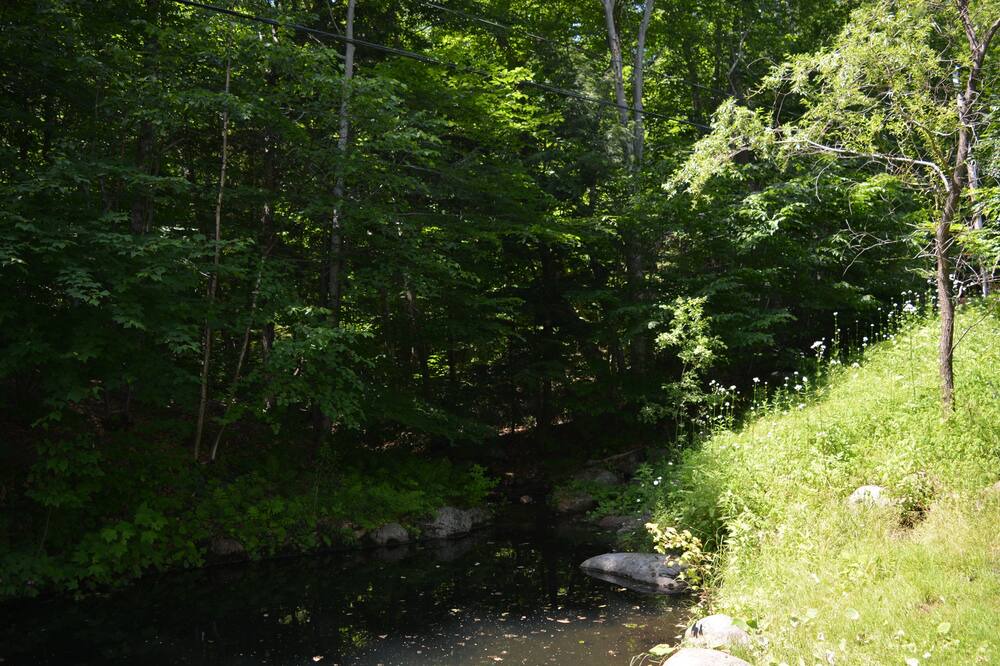 Photo of Outdoor in Oka