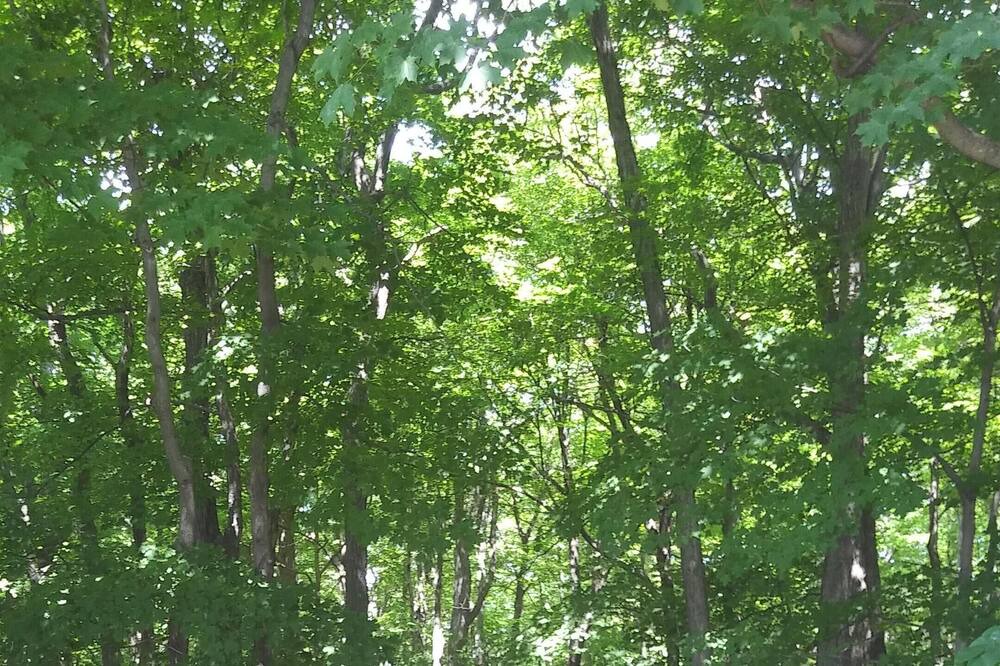 Photo of Outdoor in Oka