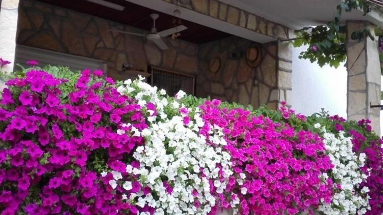 Photo of Outdoor in Privlaka