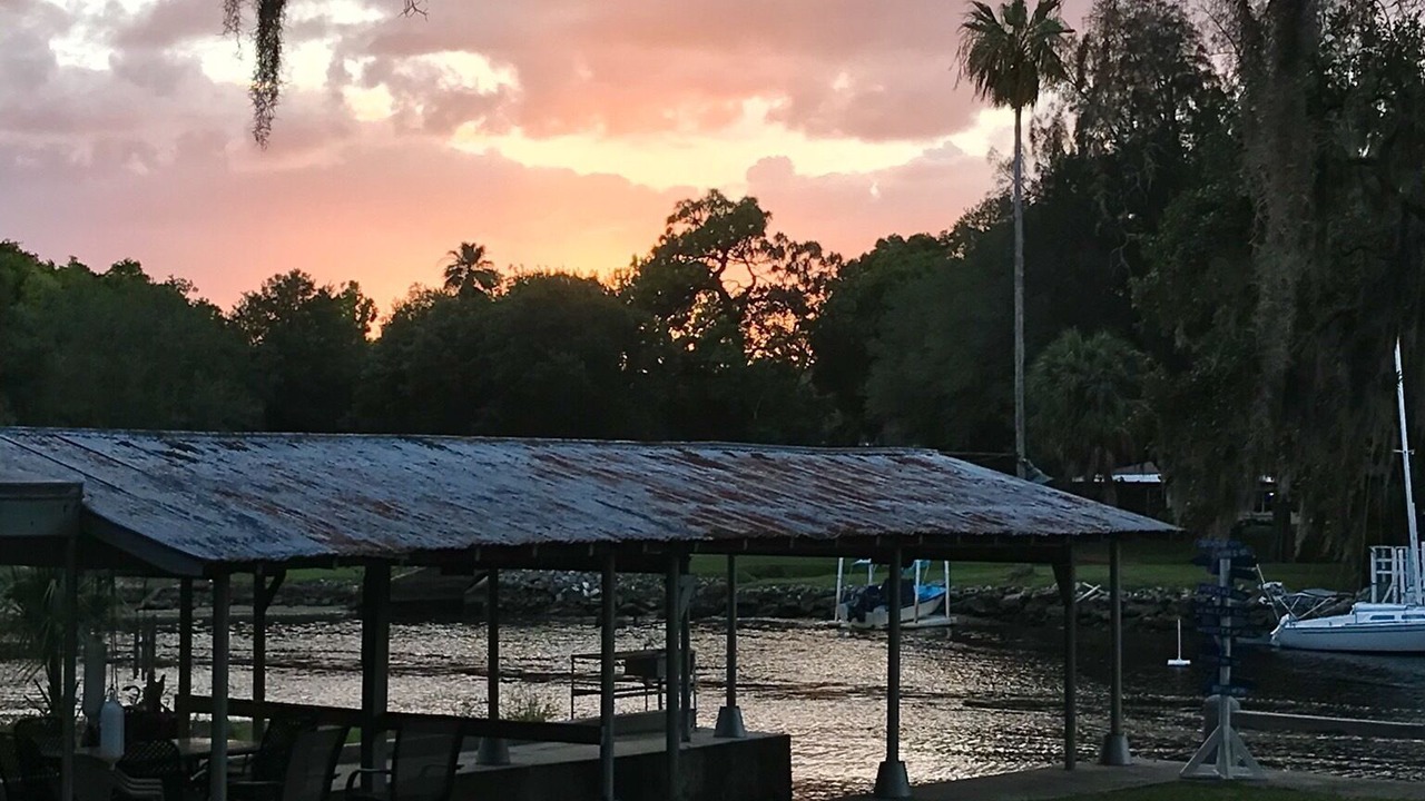 Photo of Outdoor in Old Seminole Heights