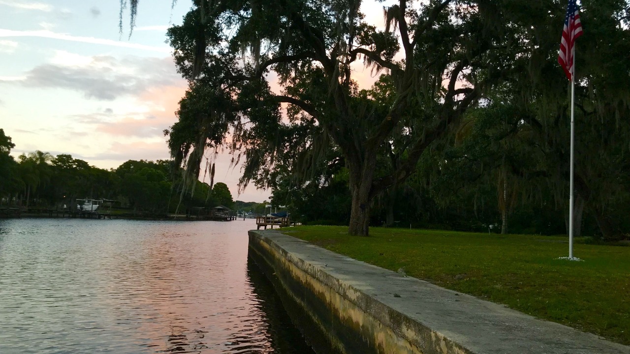 Photo of Others in Old Seminole Heights