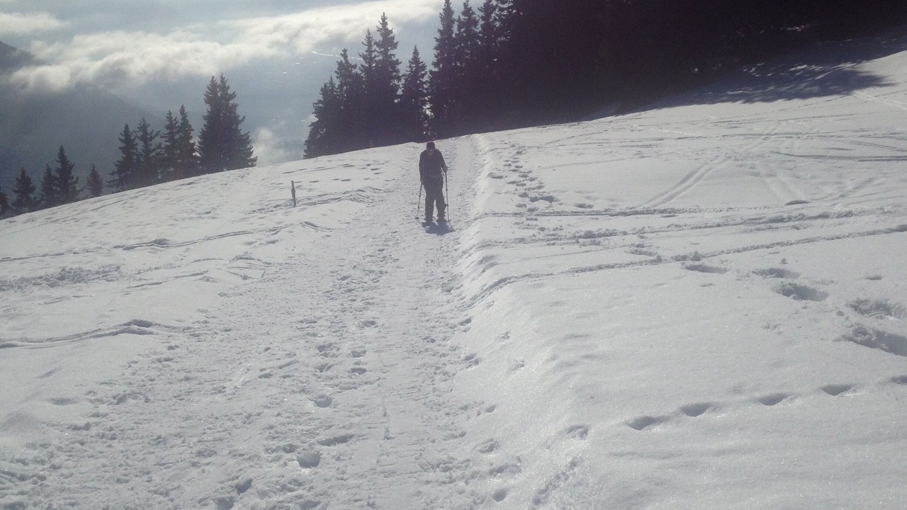 Photo of Others in Leysin