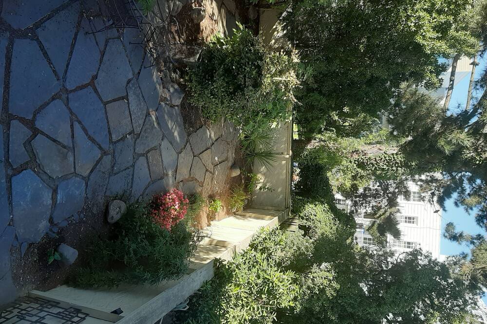 Photo of Outdoor in Marina District