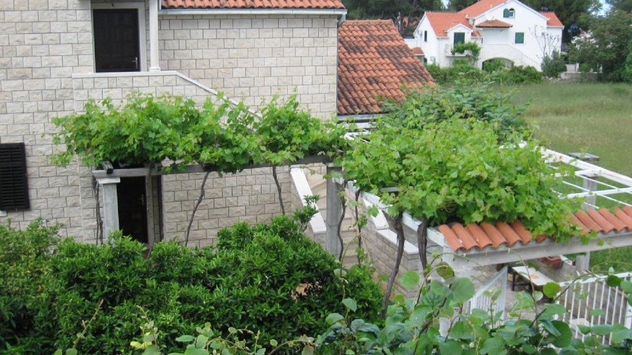 Photo of Others in Mirce
