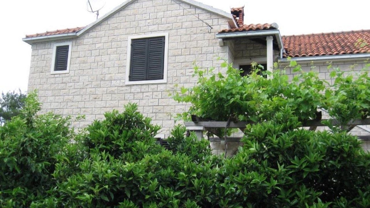 Photo of Outdoor in Mirce