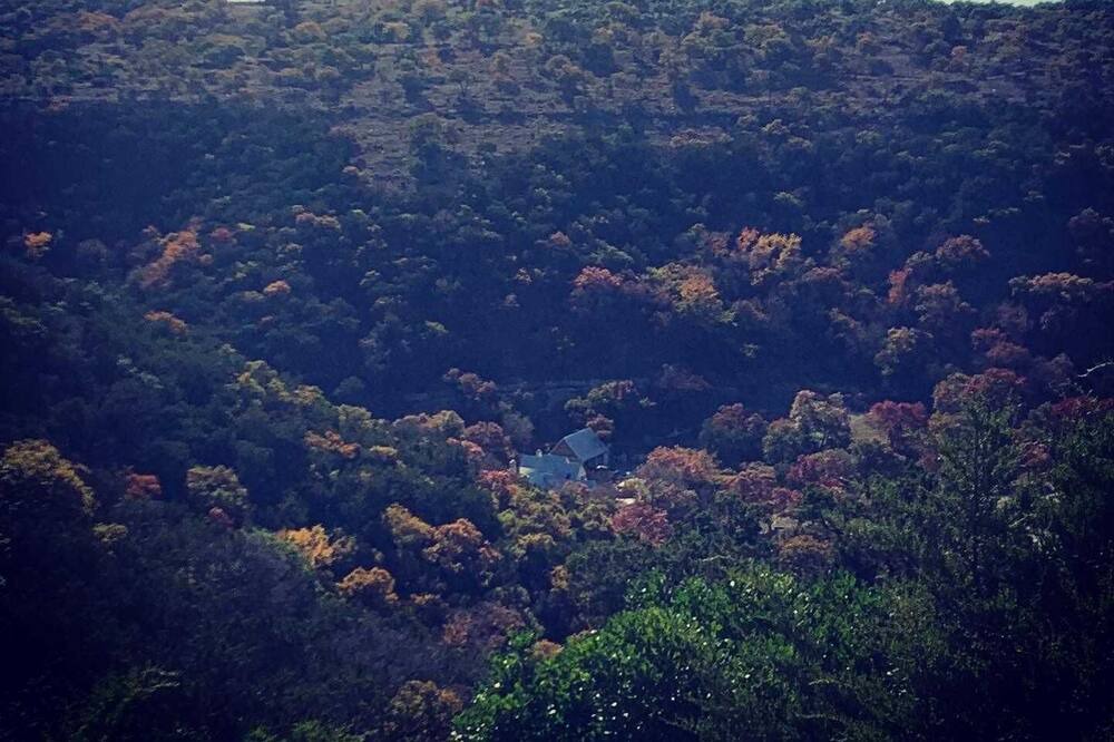 Photo of Outdoor in Tarpley