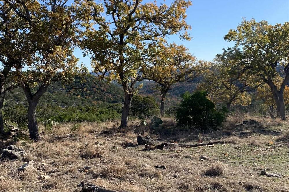 Photo of Outdoor in Tarpley