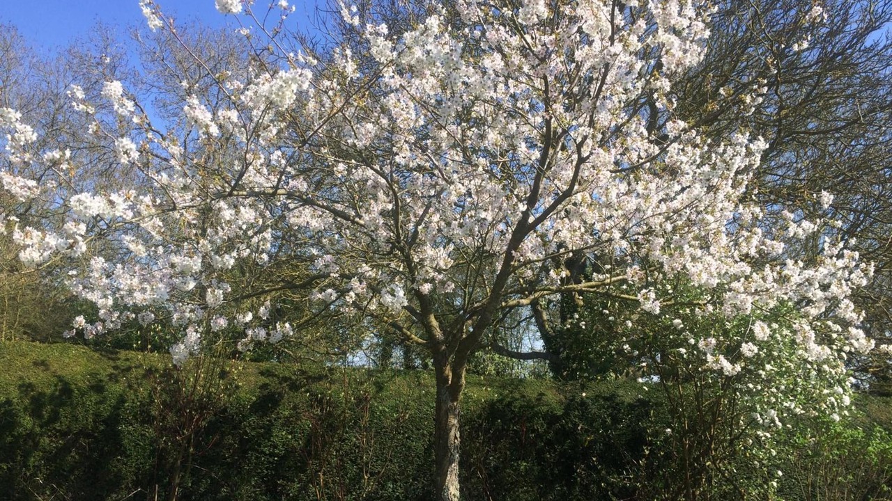 Photo of Outdoor in Andover