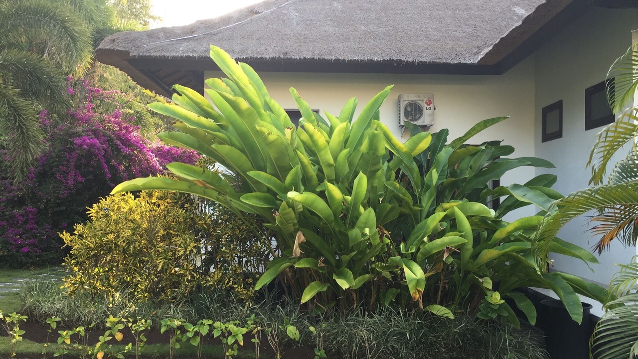 Photo of Outdoor in Umeanyar