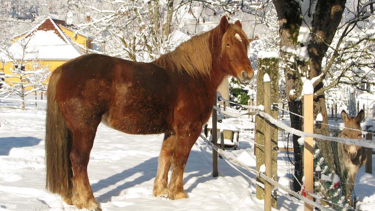 Photo of Outdoor in Mitzach