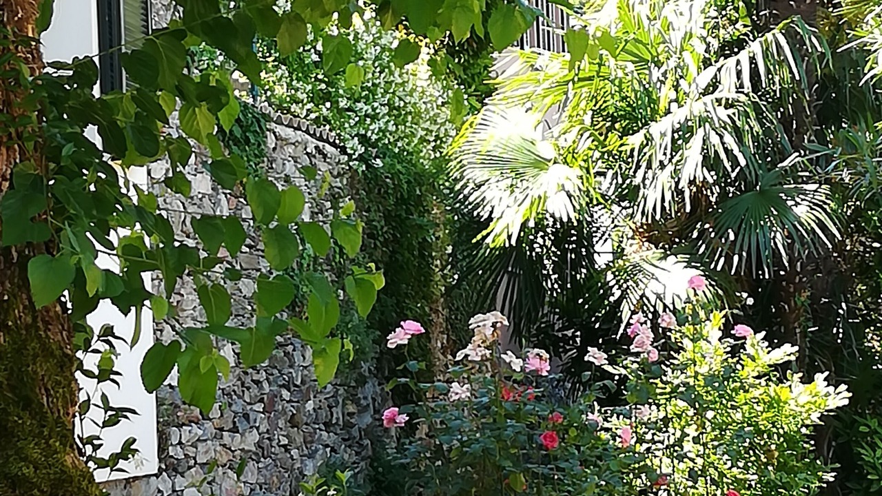 Photo of Outdoor in Collina d'Oro