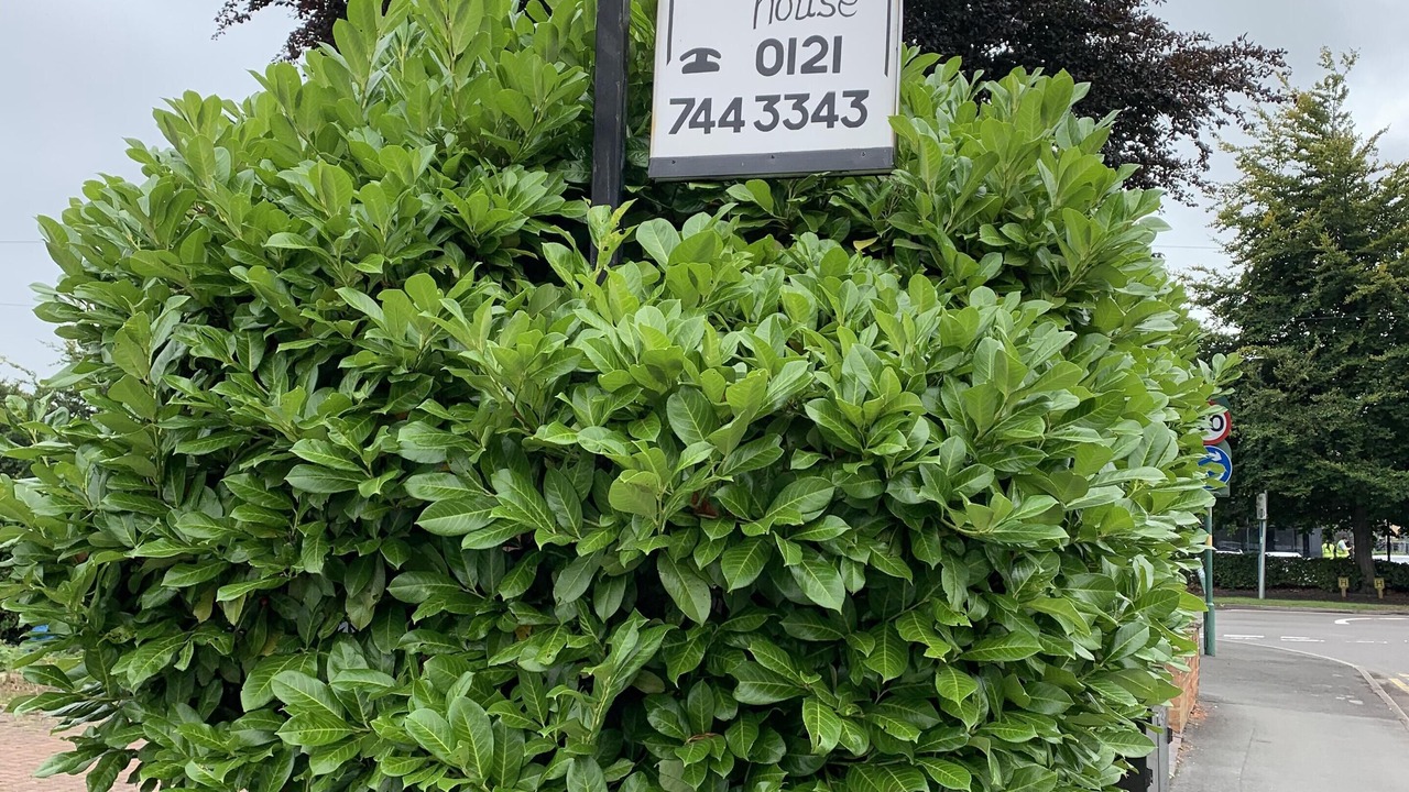 Photo of Outdoor in Barnt Green