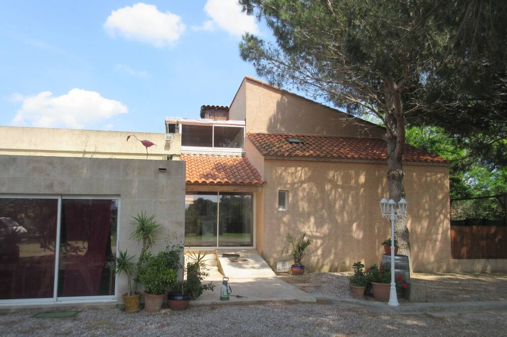 Photo of Outdoor in Saint-Cyprien