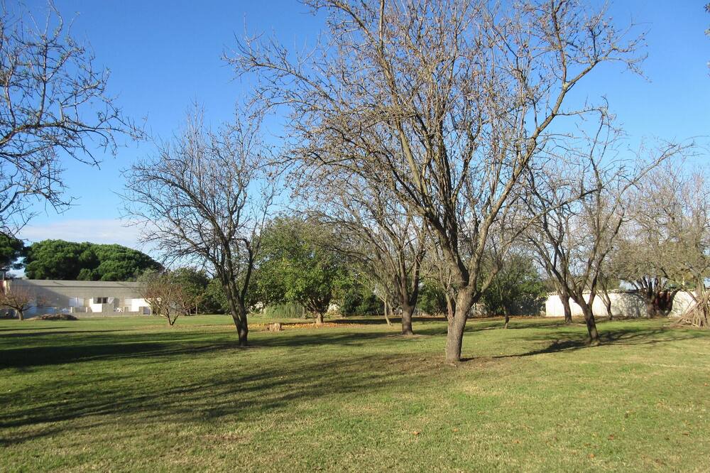 Photo of Outdoor in Saint-Cyprien