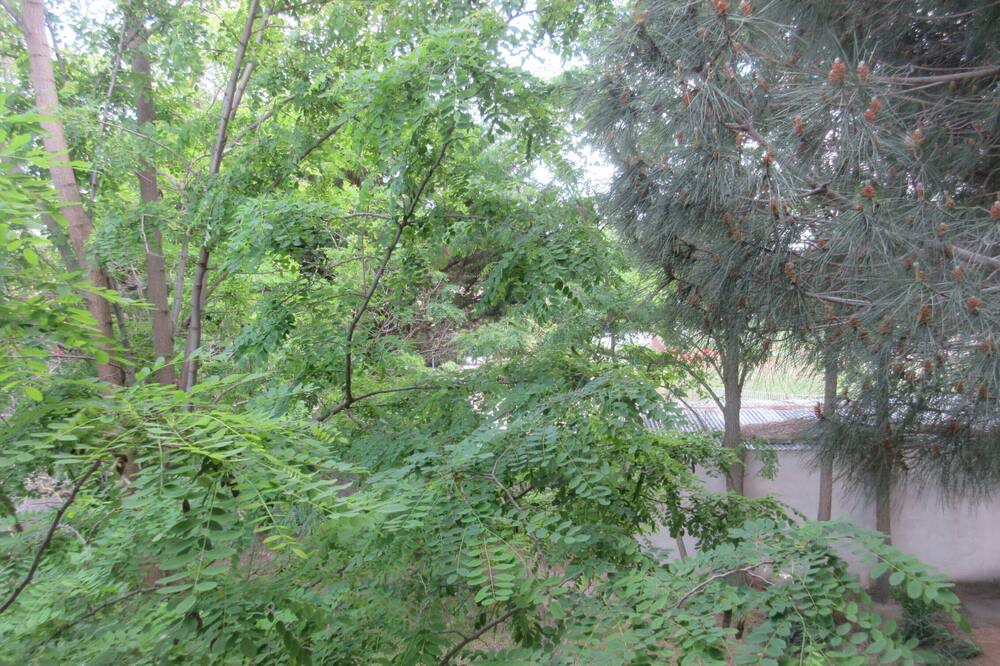 Photo of Outdoor in Saint-Cyprien