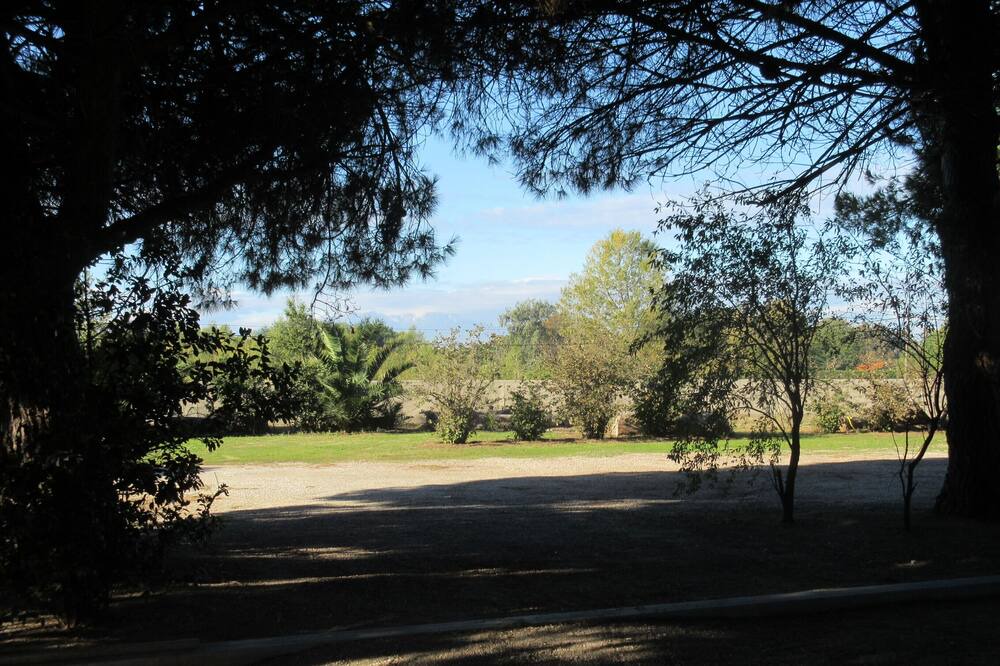 Photo of Outdoor in Saint-Cyprien