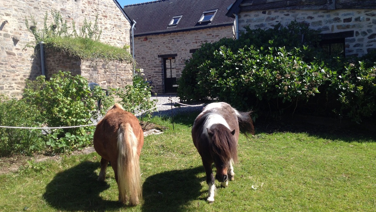 Photo of Outdoor in Inzinzac-Lochrist