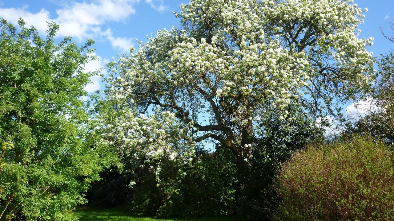 Photo of Outdoor in Inzinzac-Lochrist
