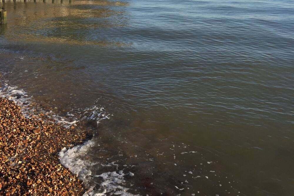 Photo of Others in Netley