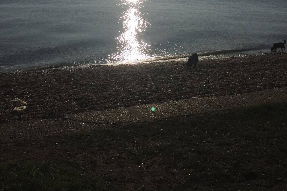 Photo of Others in Netley