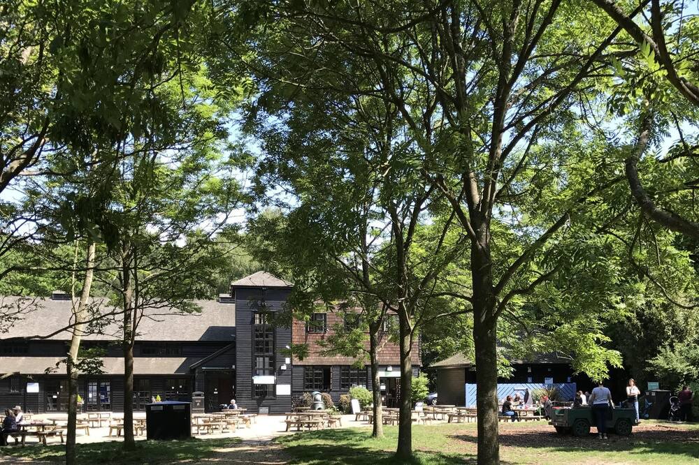 Photo of Others in Netley