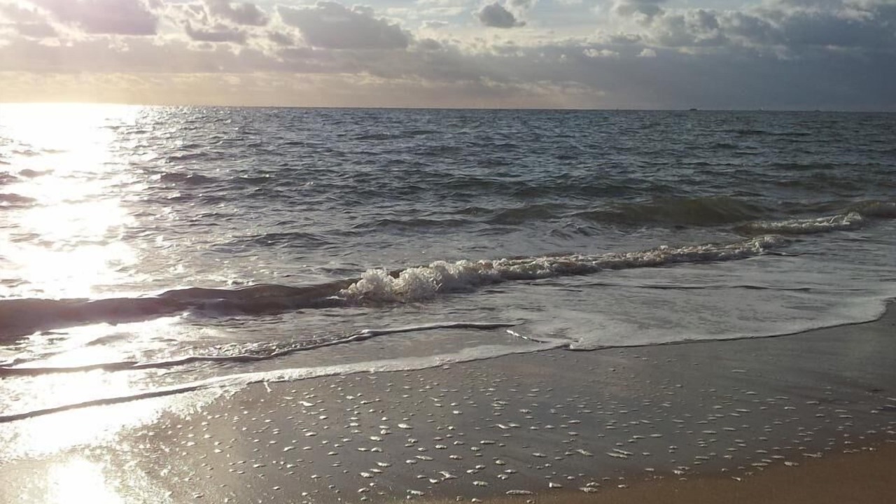 Photo of Others in Pornichet