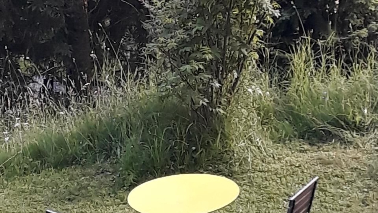 Photo of Outdoor in Vitznau