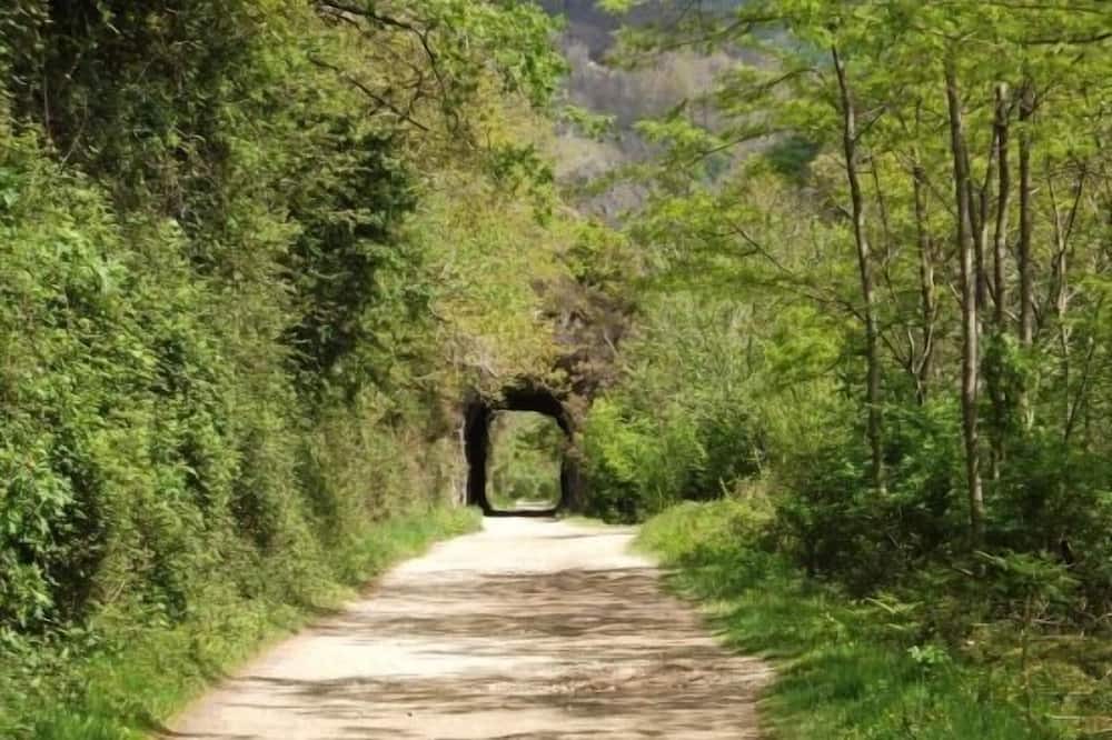 Photo of Outdoor in Zalain