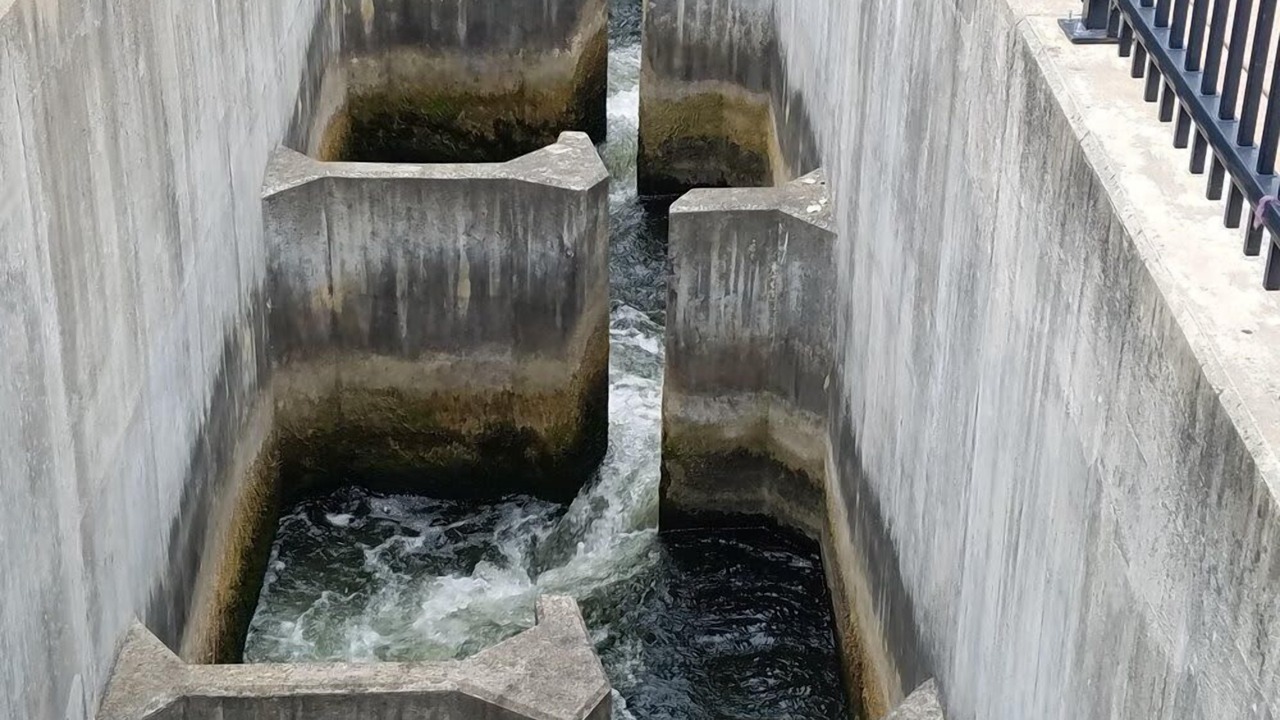 Photo of Outdoor in Mishawaka