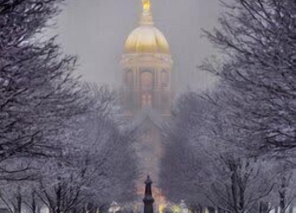 Photo of Others in Mishawaka