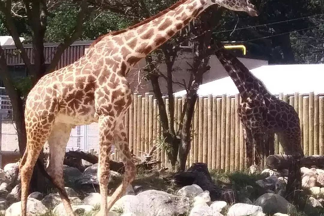 Photo of Outdoor in Mishawaka