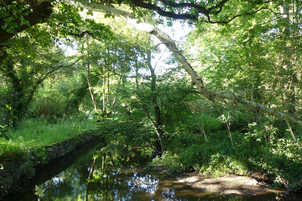 Photo of Outdoor in Pedernec