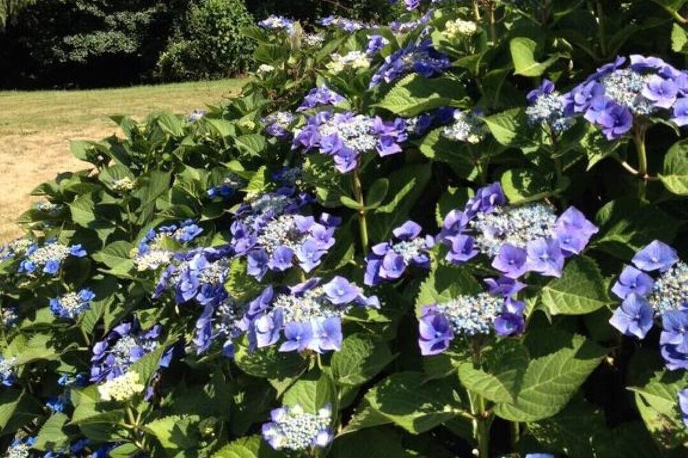 Photo of Outdoor in Pedernec