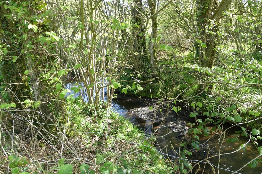 Photo of Outdoor in Pedernec