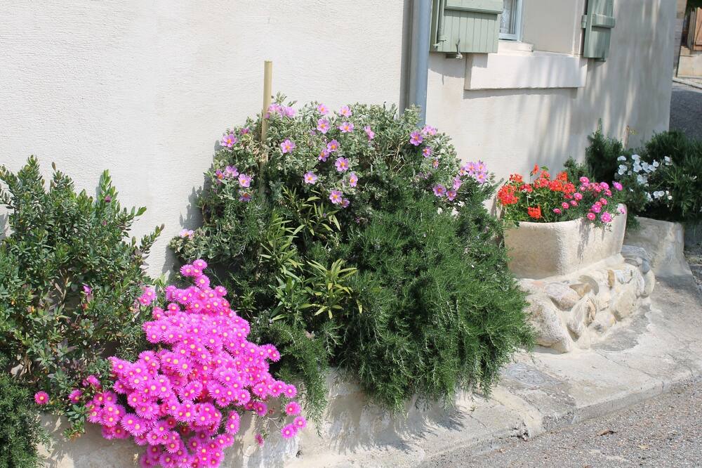 Photo of Outdoor in Montclar
